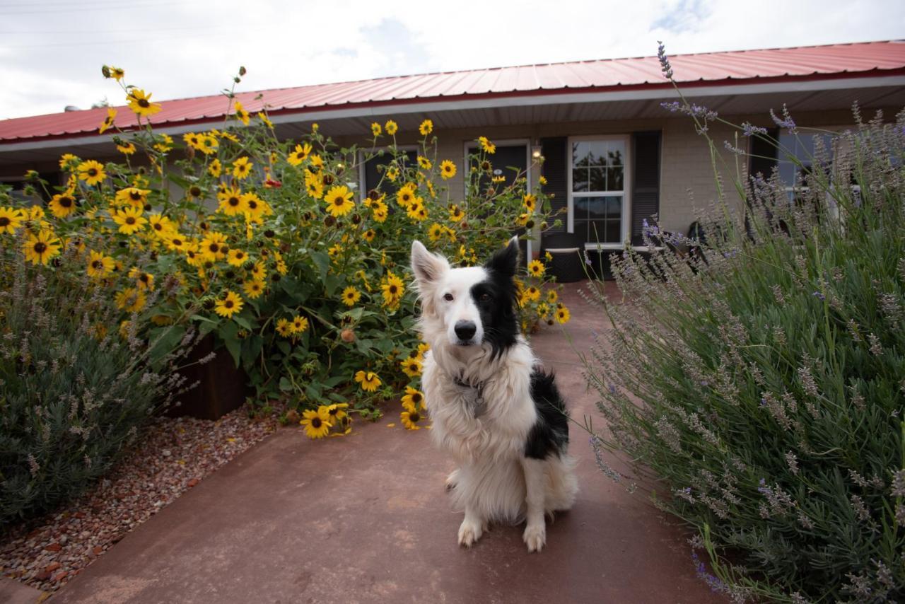 The Flagstone Boutique Inn&Suites Kanab Extérieur photo